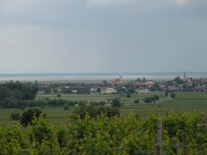Rust, Neusiedlersee Hügelland Rust, Neusiedlersee Hügelland