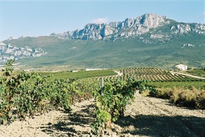 Weinregion DOCa Rioja
